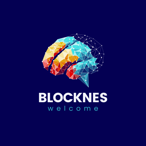 blocknes.shop